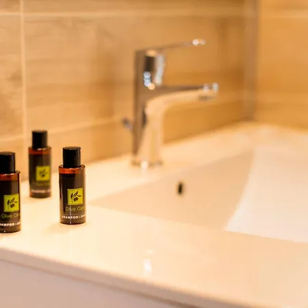 莱夫卡公寓酒店