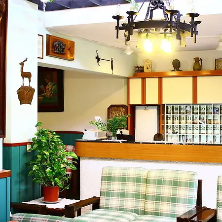 莱夫卡公寓酒店