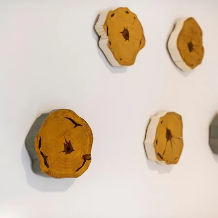 Appart hôtel Lefka 2*