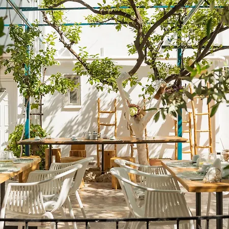 Apartahotel Lefka &